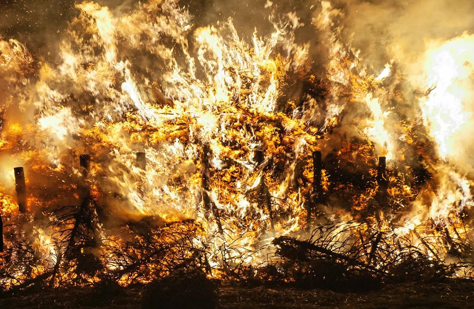 terrorismo incendiario simplifica distorsiona problema