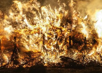 terrorismo incendiario simplifica distorsiona problema