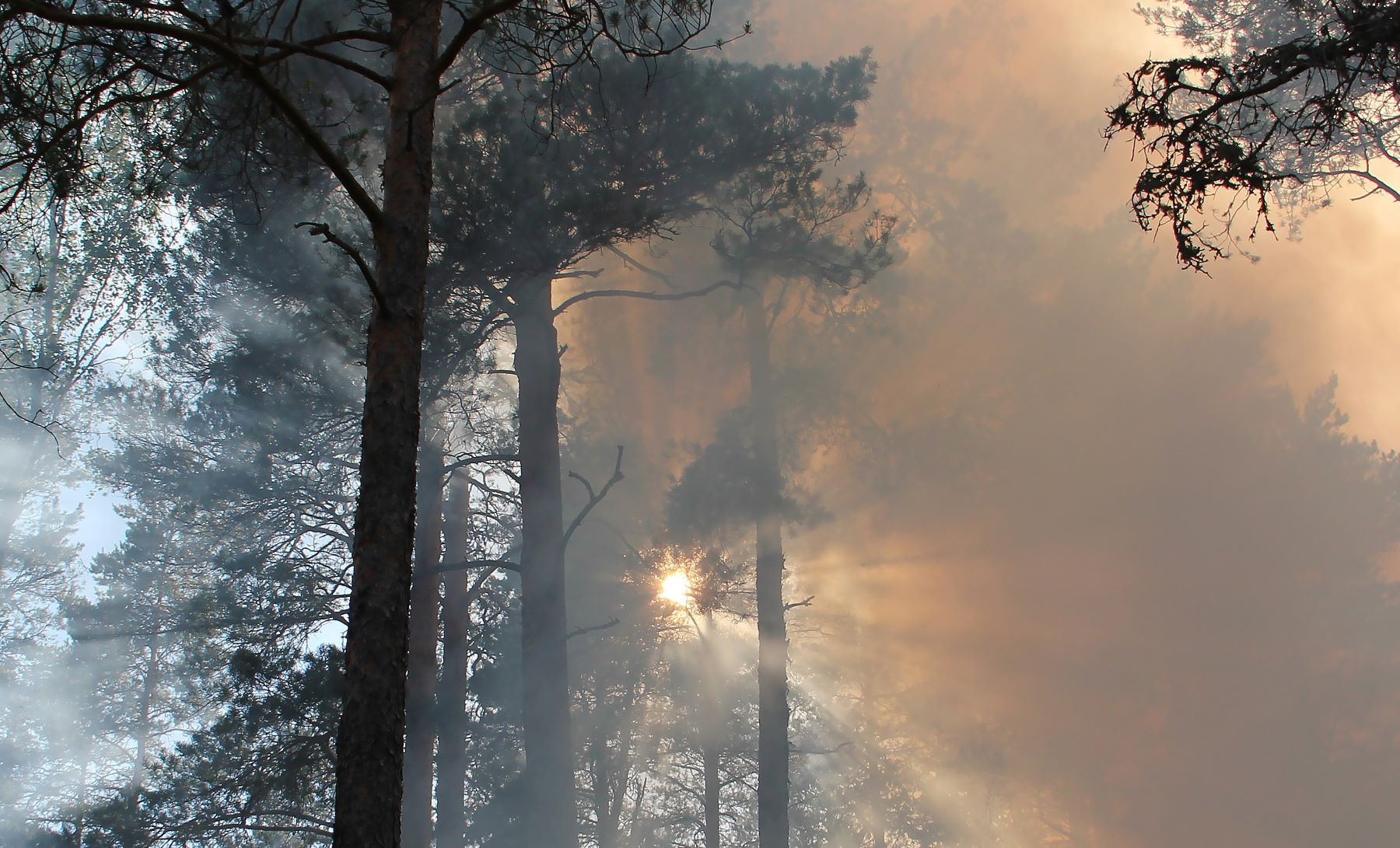 incendio forestal Toledo perimetrado condiciones meteorológicas adversas