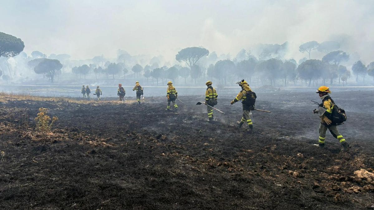 incendio forestal San Bartolomé Pinares remite desalojos tren Ávila Madrid