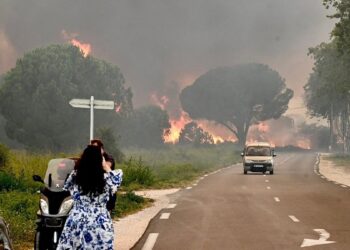 incendio forestal Francia muerto hectáreas calcinadas
