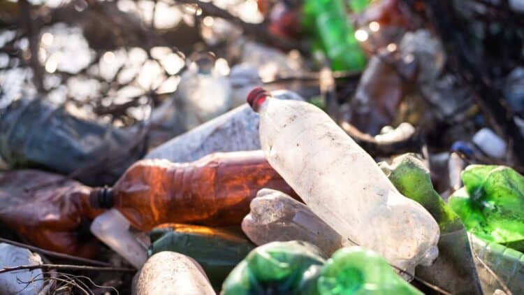 El problema de los residuos plásticos necesita el apoyo del ‘comercio global’ y fabricar productos sustitutos, que sean ecológicamente sostenibles