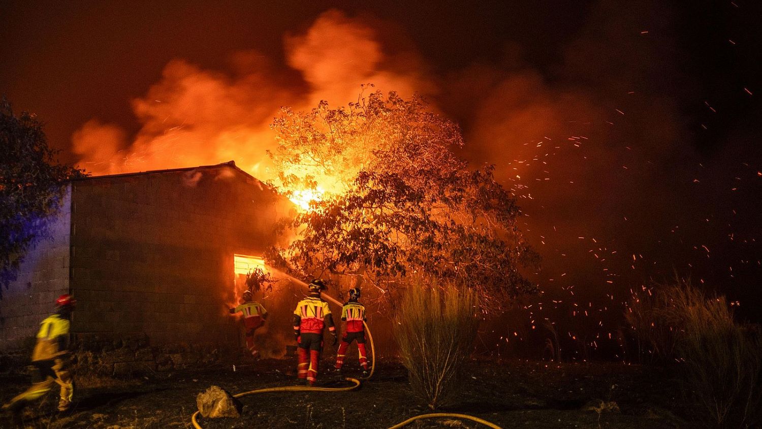sector forestal ecologistas pactaron ecosistemas forestales años cajón partidos políticos