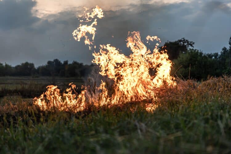 España NO preparada incendios sexta generación’