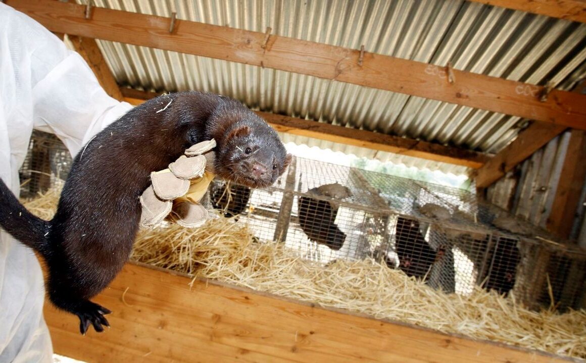 Europa cerrar granjas peleteras prohibir comercio