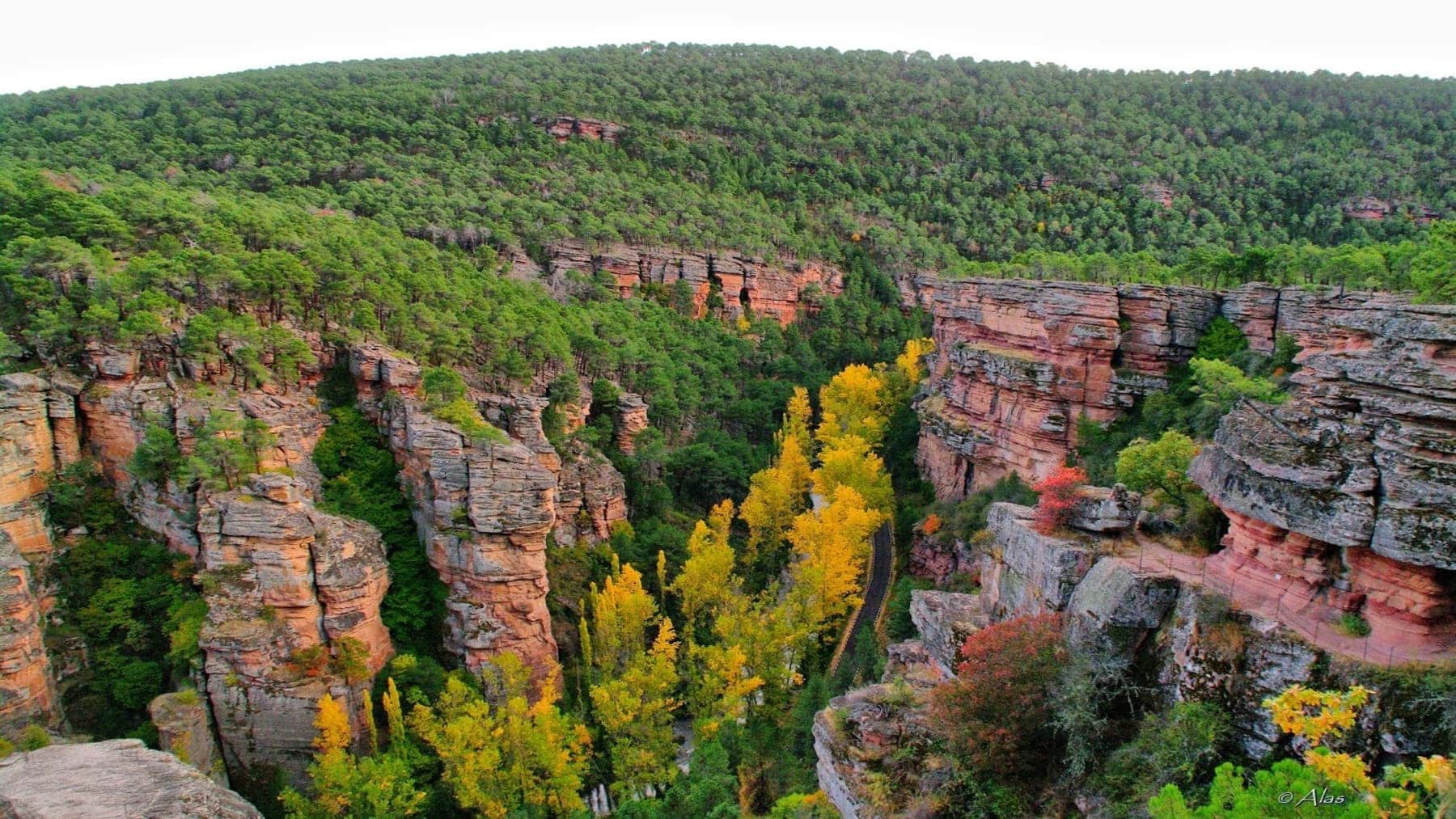 Feliz 25 aniversario del ‘Parque Natural del Alto Tajo’