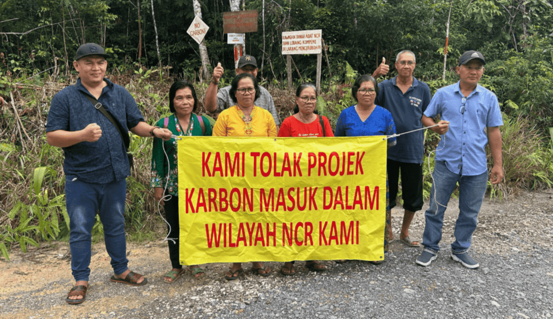 empresas créditos de carbono perversas destruyen naturaleza lavar imagen industrias contaminantes