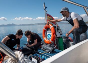 Fundación Biodiversidad propuestas proyectos empleo verde sostenibilidad pesquera bioeconomía biodiversidad marina