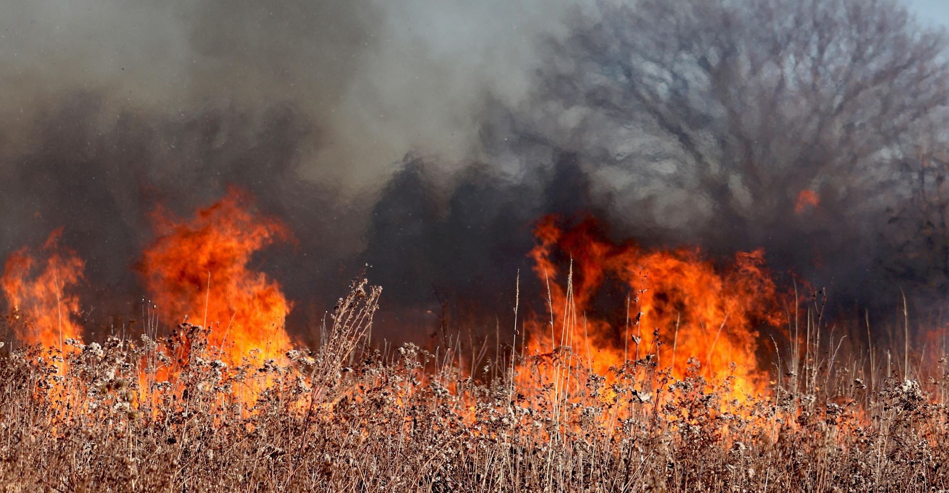 Galicia llamas nuevo incendio forestal Salceda Caselas Pontevendra Lugo