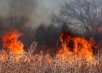Galicia llamas nuevo incendio forestal Salceda Caselas Pontevendra Lugo