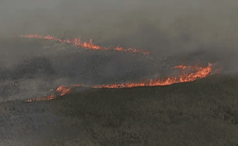 incendios Everglades Florida