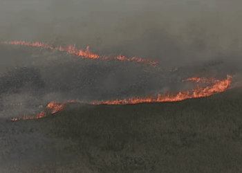 incendios Everglades Florida