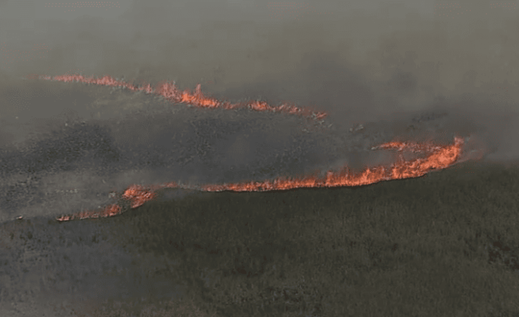 incendios Everglades Florida