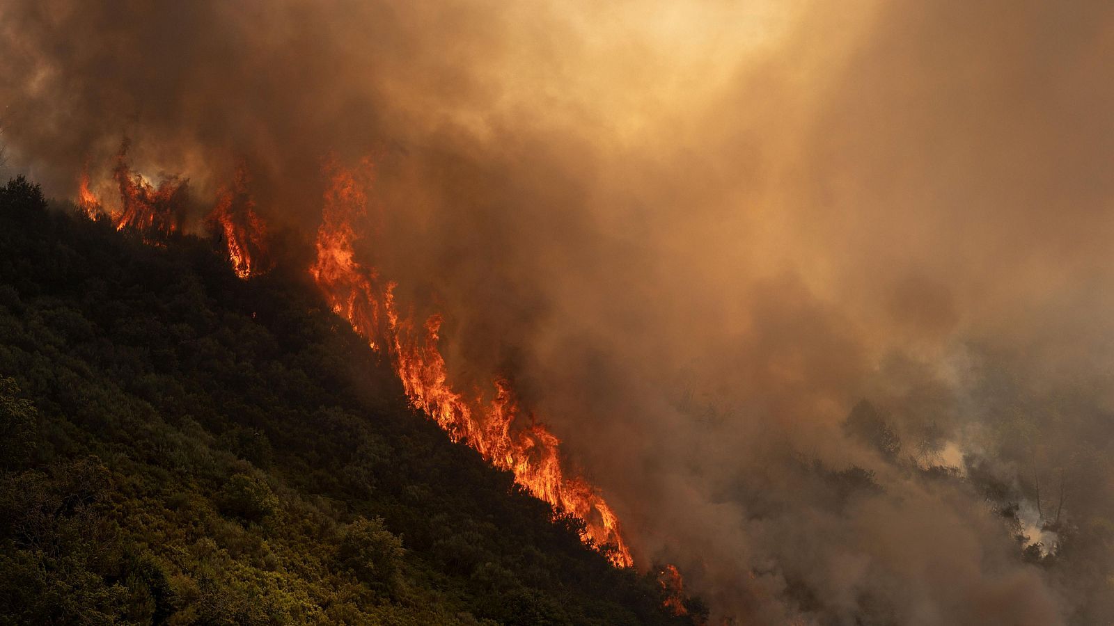 Grande Marlaska preemergencia plan estatal incendios forestales España