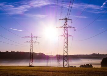 oligopolio eléctrico RDL antiapagón paso buena dirección
