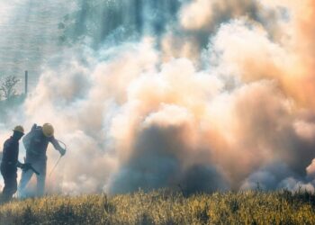 Incendio forestal Chandrexa Queixa Ourense mil hectáreas calcinadas