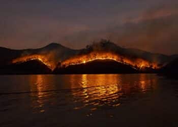 Incendio forestal Tarifa viento