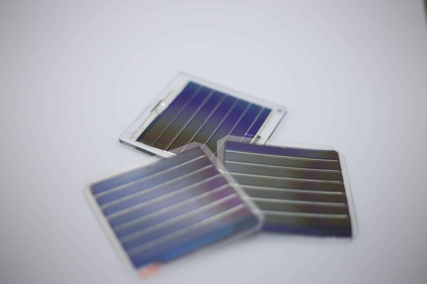 Invernaderos energéticamente autosuficientes paneles fotovoltaicos orgánicos