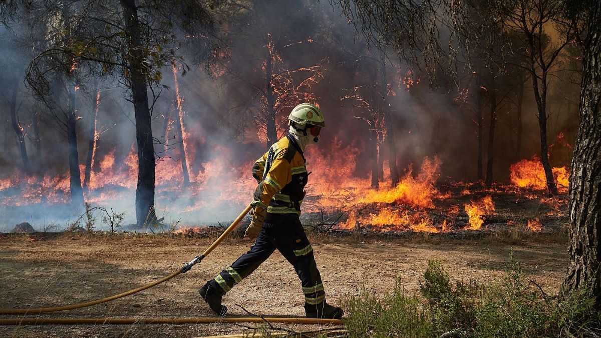 incendios forestales fracaso país