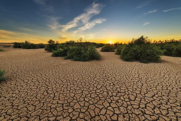 carrera-siglo-seo-birdlife-decada-accion-climatica-tomar-medidas-tiempo-record