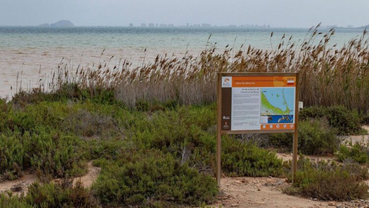 condiciones ambientales Mar Menor