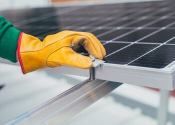 SOS Rural Asociación Ecología Libertad tala olivos placas fotovoltaicas
