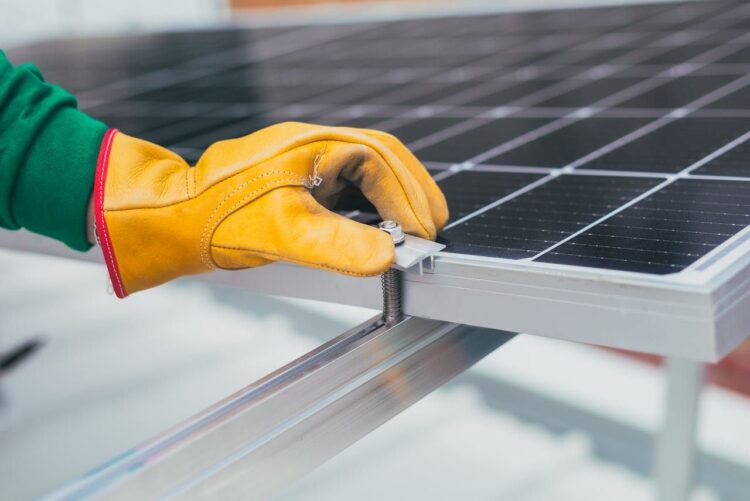 SOS Rural Asociación Ecología Libertad tala olivos placas fotovoltaicas