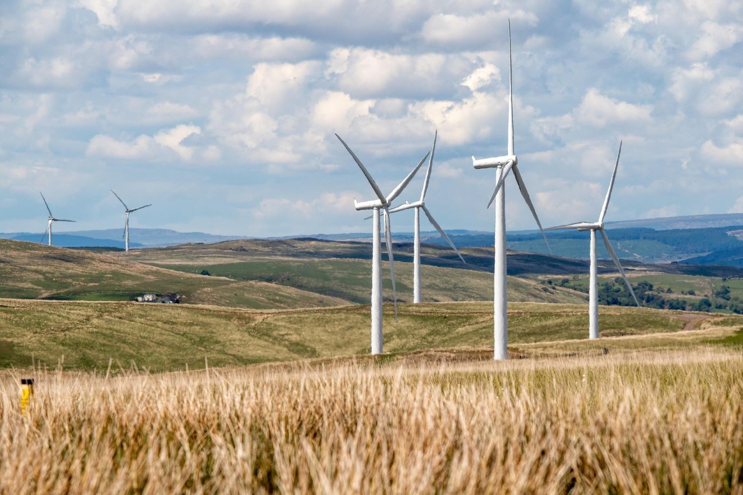 caen energías renovables eólica