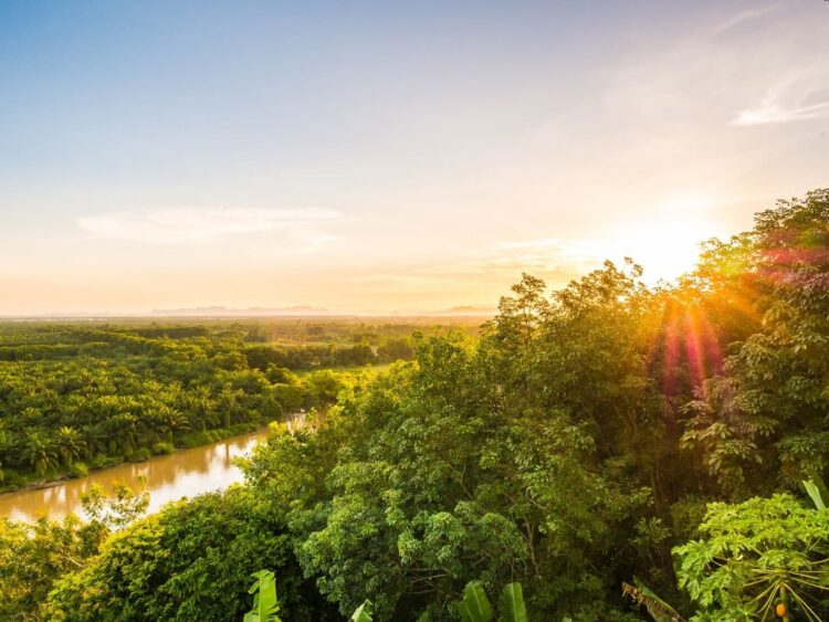 Declaración Bogotá clave protección Amazonia