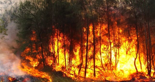 7 ‘claves’ Pacto Estado solución ‘megaincendios’