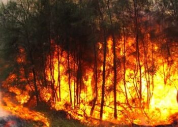 7 ‘claves’ Pacto Estado solución ‘megaincendios’