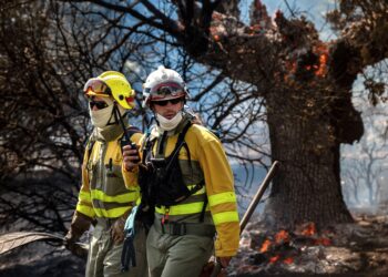 León incendios forestales ardiendo