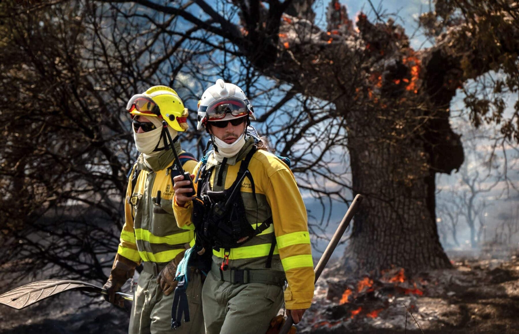 León incendios forestales ardiendo