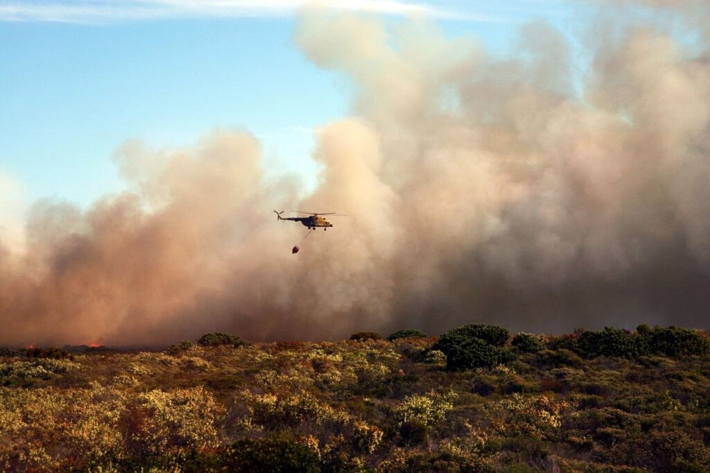 Los incendios forestales en España ya han calcinado casi 60000 ...