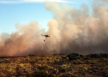 incendios forestales España calcinado hectáreas superficie arrasada fuego