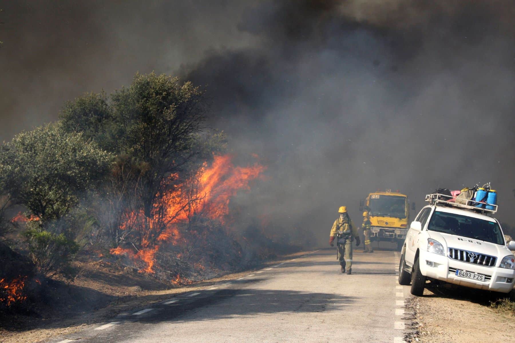 incendios forestales Ávila cambios gestión bosques