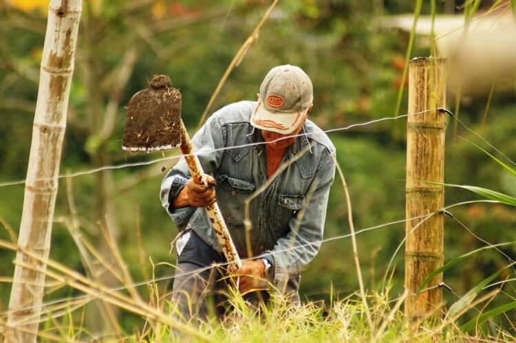 Millones personas trabajan protección térmica adecuada golpes calor