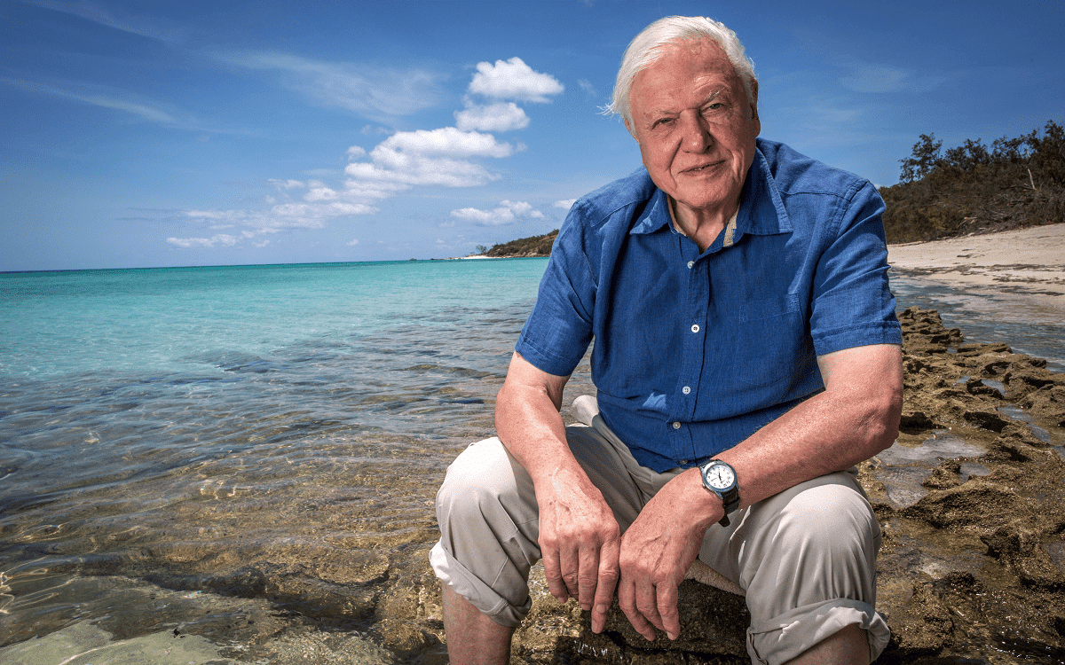 Océano El último refugio salvaje de la Tierra David Attenborough objetivo proteger mares