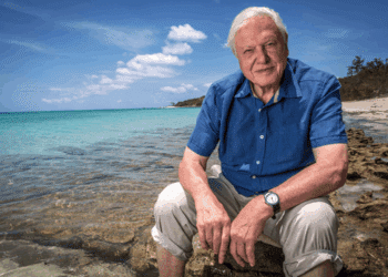 Océano El último refugio salvaje de la Tierra David Attenborough objetivo proteger mares