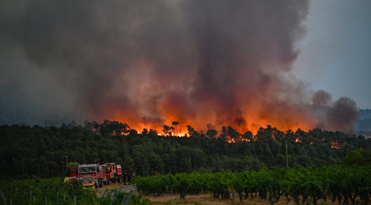 controlan mayor incendio forestal 1949 Francia