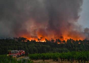 controlan mayor incendio forestal 1949 Francia