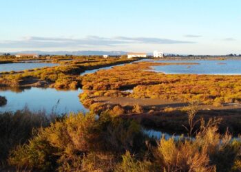 Proyecto REST-COAST protección humedales Mediterráneo impedir desaparición