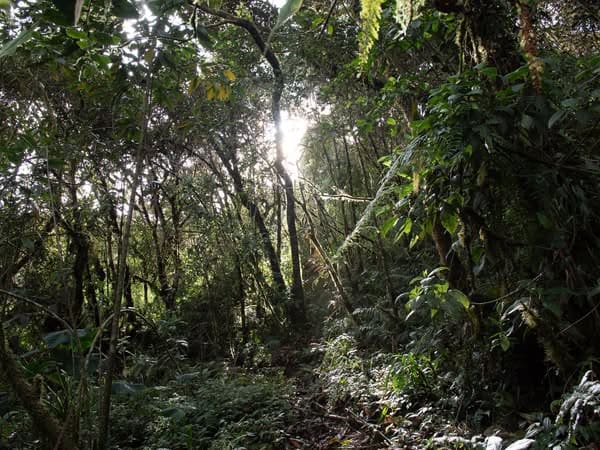 Refugio Vida Silvestre Machay Ecuador nueva reserva natural