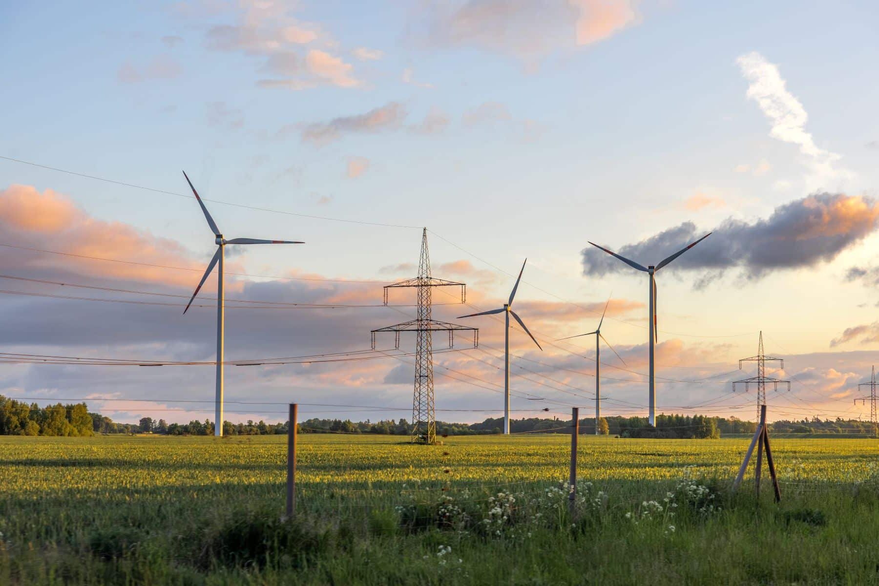 TJUE legalidad procedimientos energía eólica Galicia