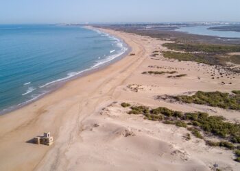 Transición Ecológica playa Camposoto San Fernando Cádiz