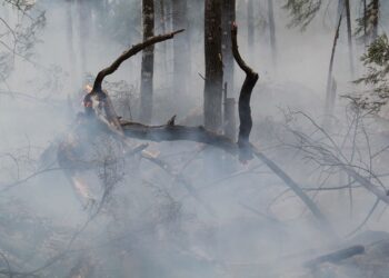 Última hora DIRECTO incendios 29 agosto España