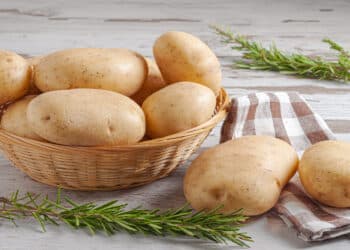 Un estudio desvela del enigmático origen de la patata ‘spoiler’, surgió a partir de un ancestro del tomate
