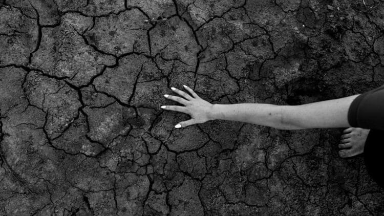 Pacto Estado crisis climática