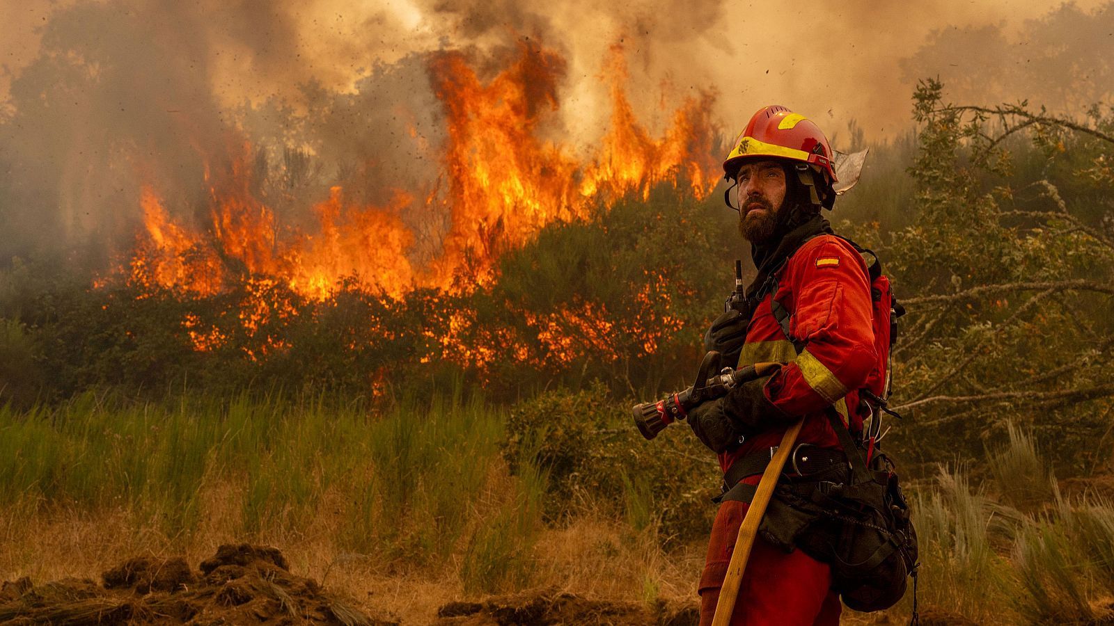 Vegetación seca olas calor incendios forestales España prevención