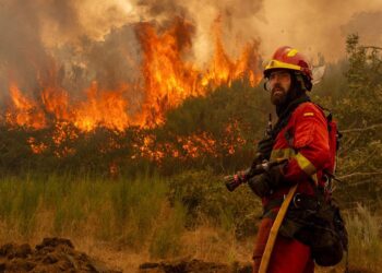 Vegetación seca olas calor incendios forestales España prevención